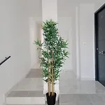 Cuna Flamenca Lägenhet