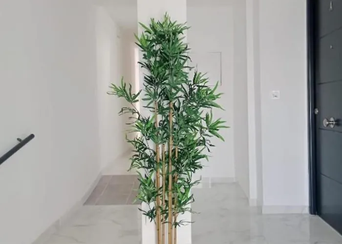 Cuna Flamenca Appartement