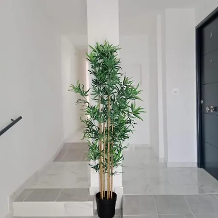 Cuna Flamenca Apartamento